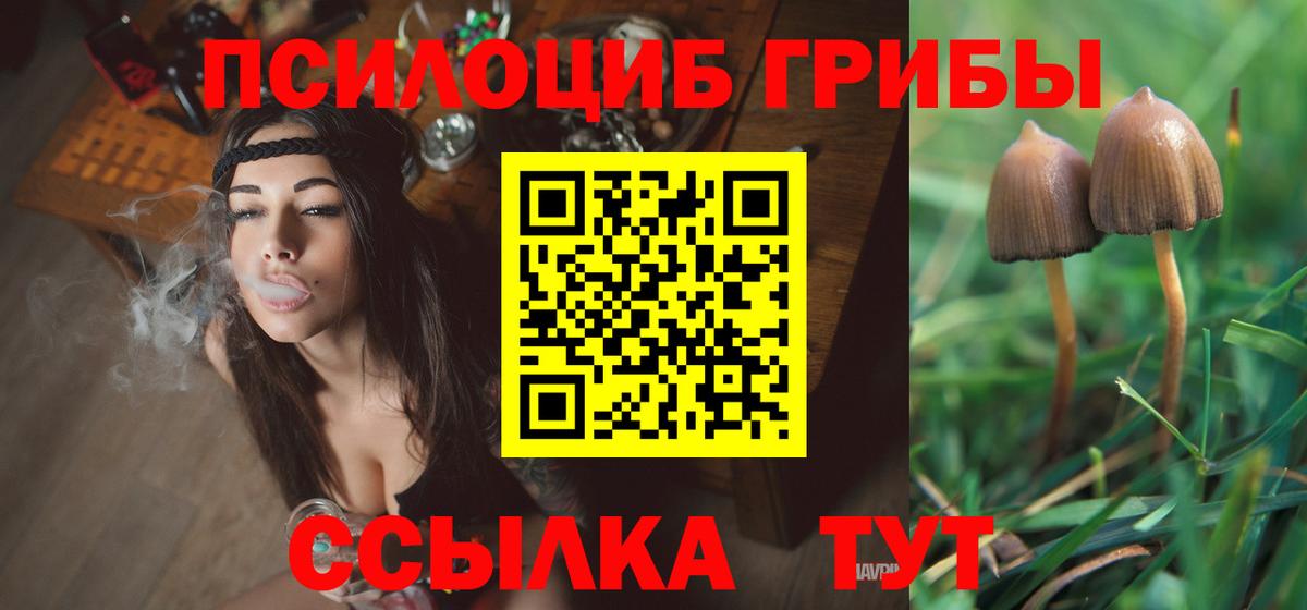 Псилоцибиновые грибы прущие грибы  Галлюциногенные грибы Cubensis  Екатеринбург  Вход с VPN 